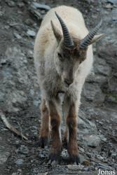 Zoo Praha