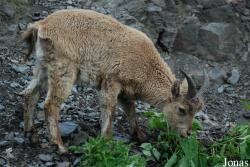 Zoo Praha