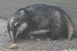 Beijing Zoological Gardens
