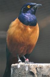 Tiergarten Bernburg