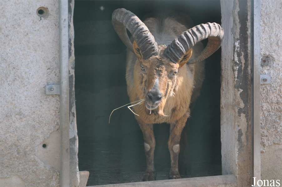 Tierpark Chemnitz