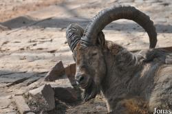 Tierpark Chemnitz