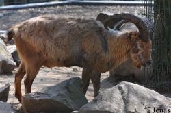 Tierpark Chemnitz
