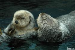 Oceanário de Lisboa