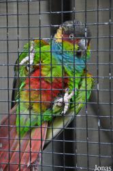 Tierpark Herford