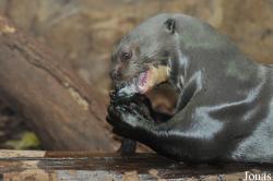 Zoo Duisburg