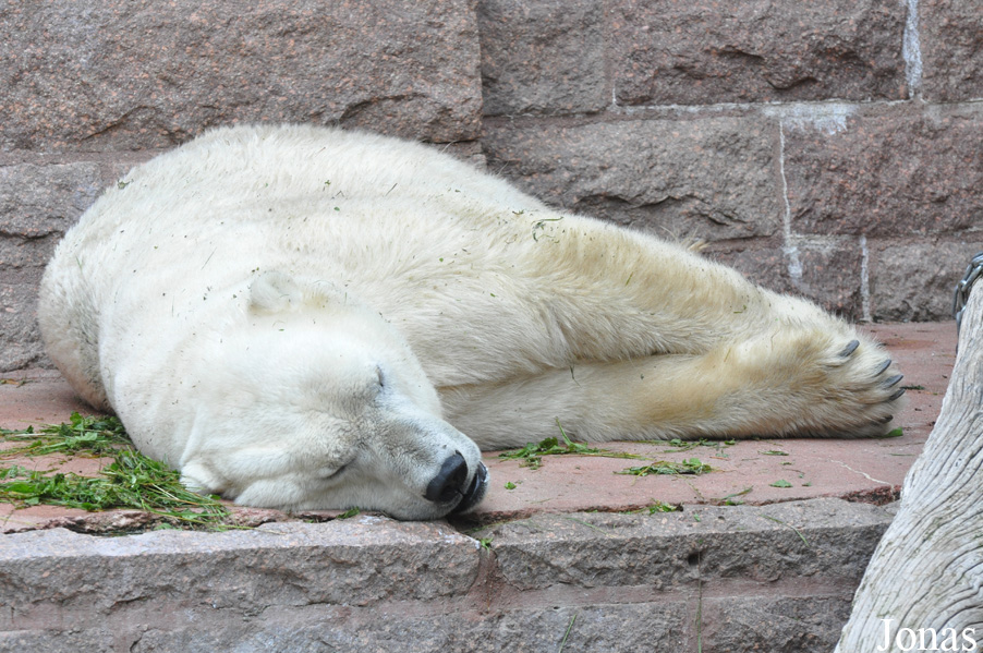 Zoologischer Garten Rostock