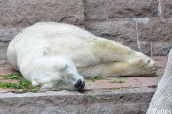 Zoologischer Garten Rostock