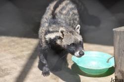 Kumasi Zoo