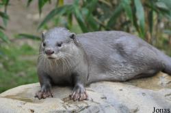Colchester Zoo