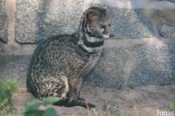 Tierpark Berlin