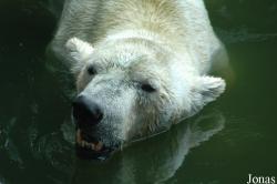 Shanghai Zoo