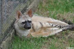Hamerton Zoo Park