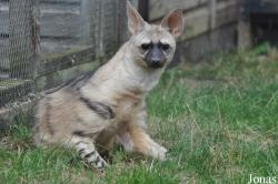 Hamerton Zoo Park