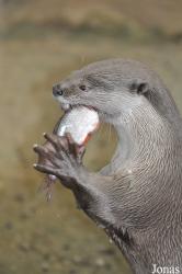 Rare Species Conservation Centre