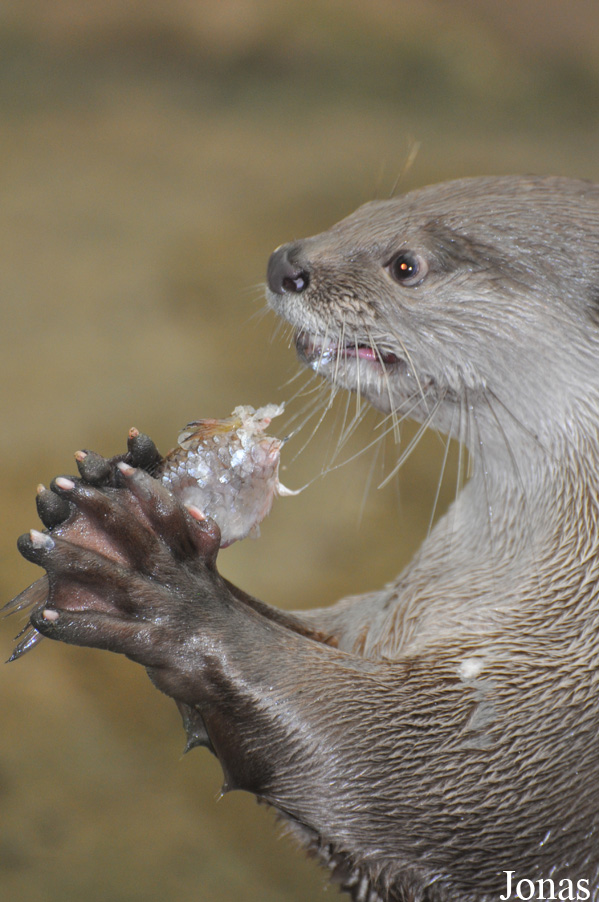 Rare Species Conservation Centre