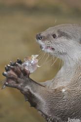Rare Species Conservation Centre