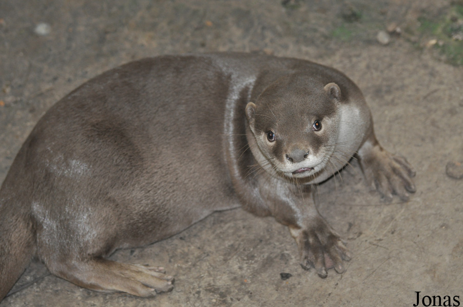 Rare Species Conservation Centre