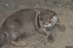 Rare Species Conservation Centre