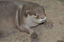 Rare Species Conservation Centre
