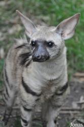 Rare Species Conservation Centre