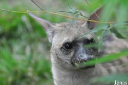 Rare Species Conservation Centre