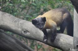 Rare Species Conservation Centre