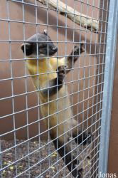 Rare Species Conservation Centre
