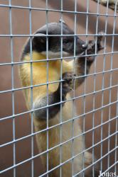 Rare Species Conservation Centre