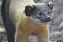 Rare Species Conservation Centre
