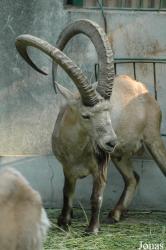 Shanghai Zoo