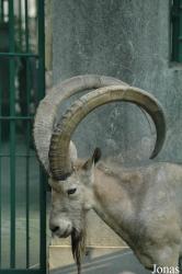 Shanghai Zoo