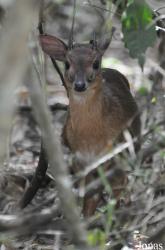 Arusha National Park