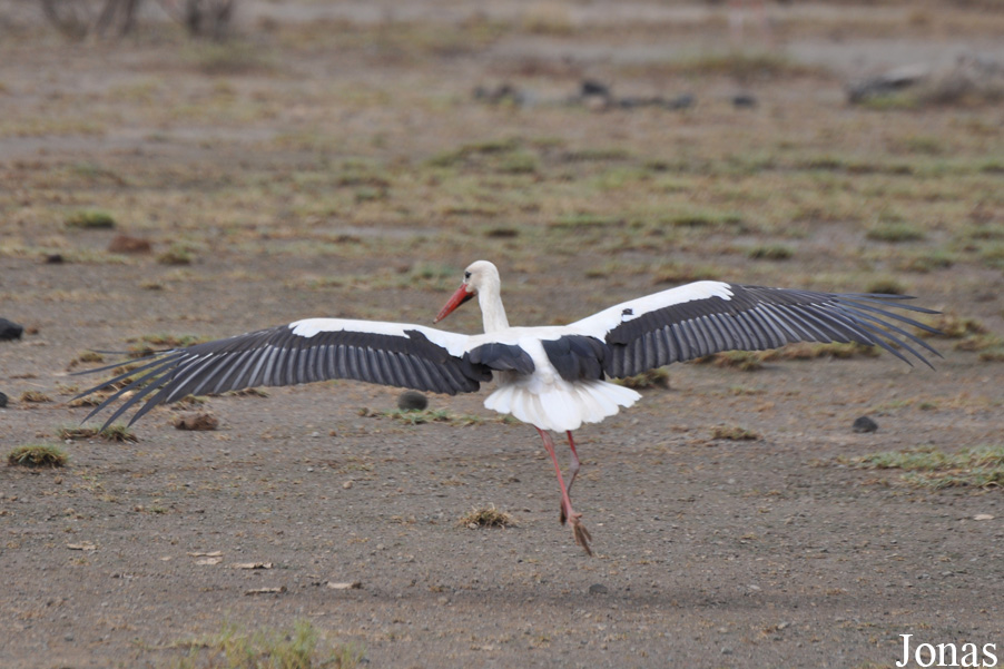 Enduimet Wildlife Management Area