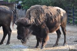 Zoo Praha