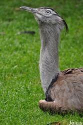 Weltvogelpark Walsrode