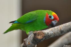 Weltvogelpark Walsrode