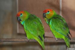 Weltvogelpark Walsrode