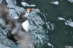 Tierpark Hagenbeck