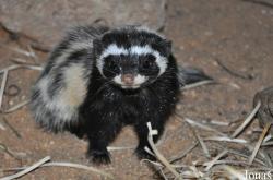 Zoologická a botanická zahrada města Plzně