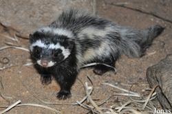 Zoologická a botanická zahrada města Plzně