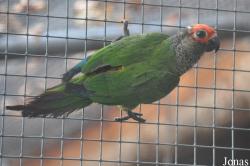 Vogelpark Turnersee