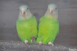 Vogelpark Turnersee