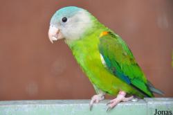 Vogelpark Turnersee