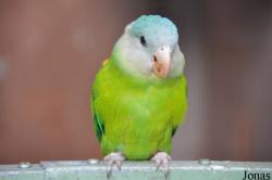 Vogelpark Turnersee