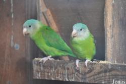 Vogelpark Turnersee