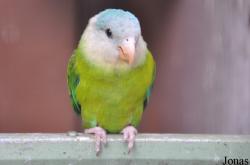 Vogelpark Turnersee