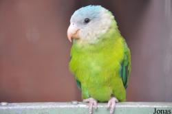 Vogelpark Turnersee