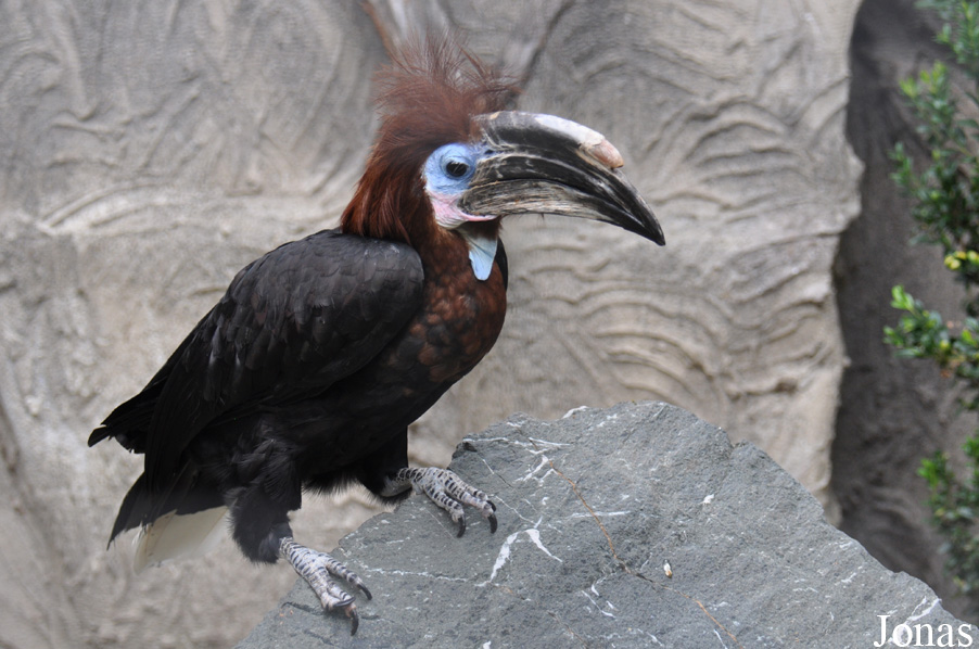 Vogelpark Turnersee