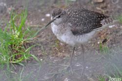 Vogelpark Turnersee